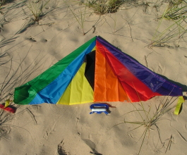 Delta Kite - 4-ft Wingspan
